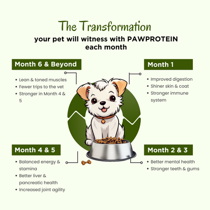 PAWPROTEIN - Vegetarian Meal Topper